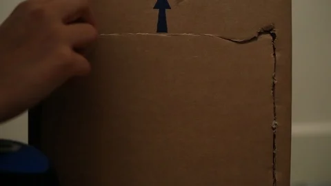 Orange tabby house cat inside a cardboard box peeking out the "door" flap. Vidéo 88464328