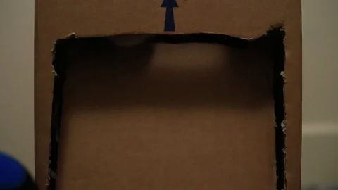 Orange tabby house cat inside a cardboard box peeking out the "door" flap. Vídeo Stock 88464522
