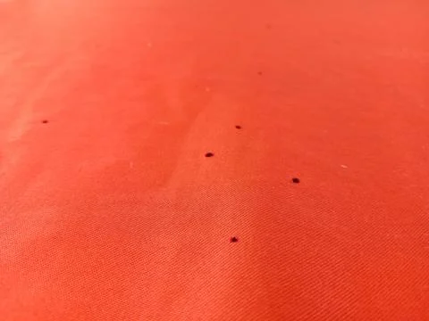 Orange tablecloth Stock Photos