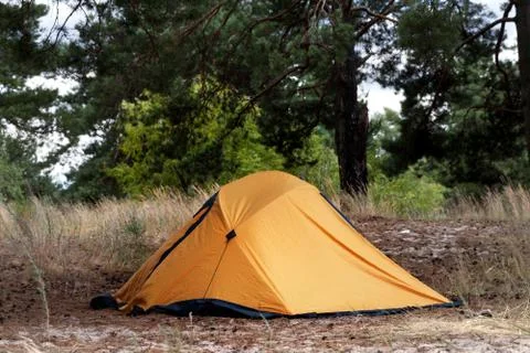 Orange tent in forest Stock Photos