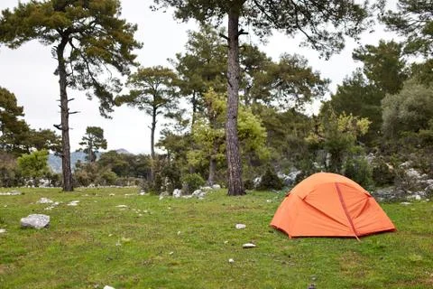 Orange tent in the forest Stock Photos