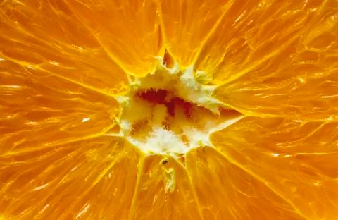 Orange texture close view Stock Photos