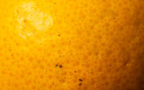 Orange texture in macro shot. Shade of orange for 3d program. Stock Photos