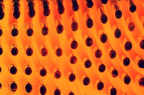 Orange texture Stock Photos