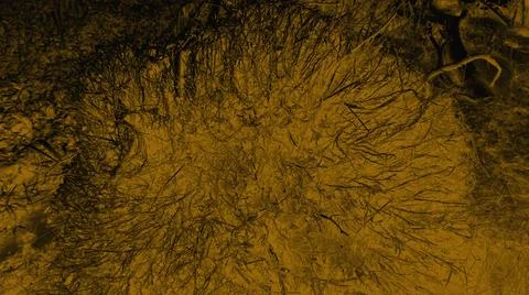 Orange texture, used as a background or other design illustration.5 Stock Illustration