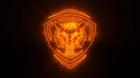 Orange Tiger Head Animated Logo with Reveal Effect Video stock 112619934