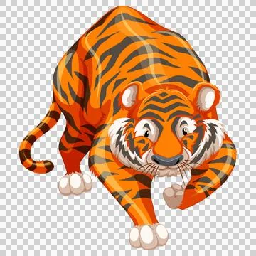 Orange tiger prowling forward with stealth and power. Stock Illustration