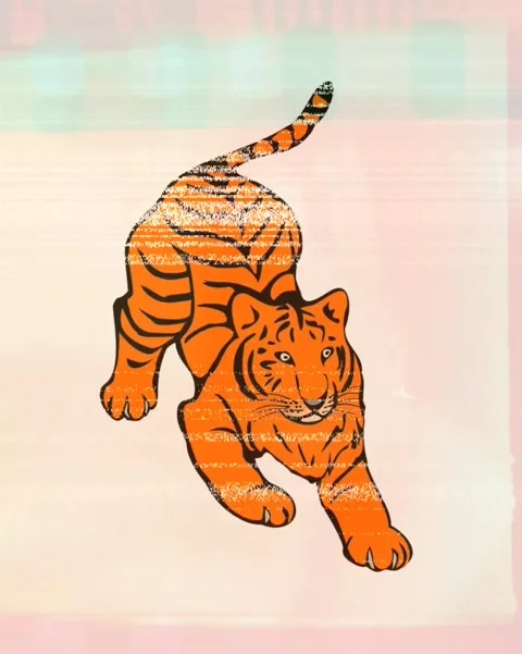 Orange Tiger Vector Animation Video stock 259500958