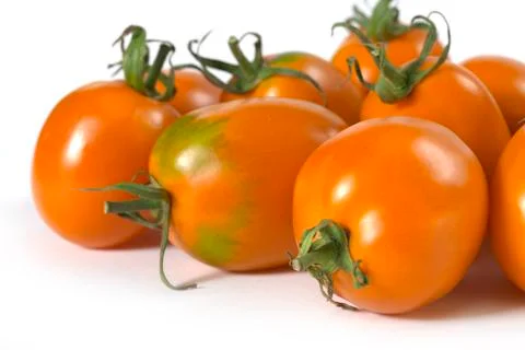 Orange tomato Stock Photos