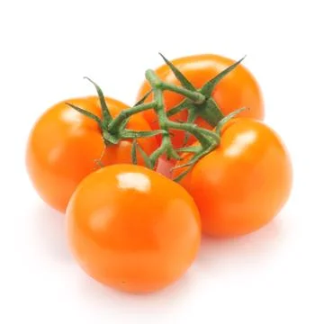 Orange Tomatoes Foto stock
