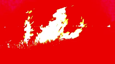 Orange Tongues of Flame on a Red Background Soared Upwards Vídeos de archivo 66418951