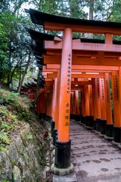 Orange Torii Stock Photos