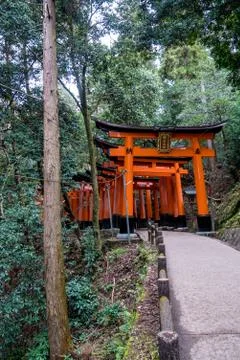 Orange Torii Stock Photos