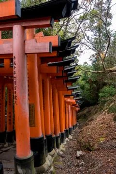 Orange Torii Stock Photos