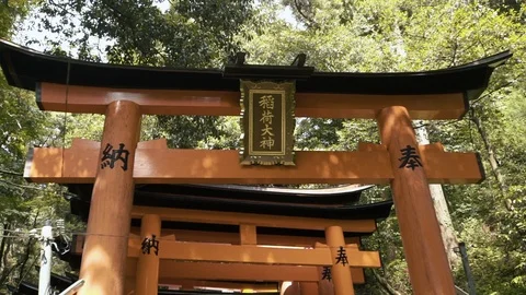 Orange torri gates Stock Footage 94503911