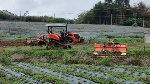 Orange tractor and farm implement in plastic-mulched field Stock Photos