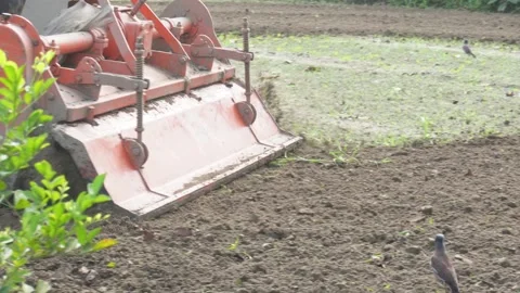 Orange Tractor Stock Footage 340646576