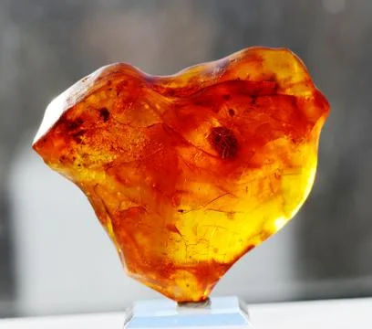 Orange translucent Baltic amber Stock Photos