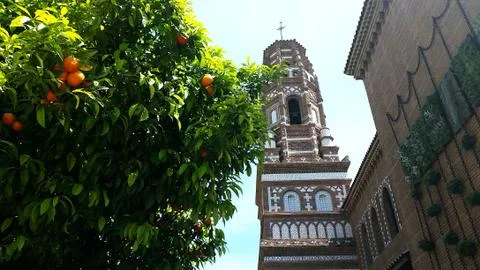 Orange tree and bell tower Stock Photos