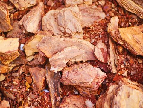 Orange tree bark. close-up. Bark seamless background. Fotos Stock