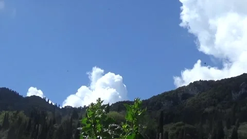 Orange tree branches sway against the stunning mountain view Stock-Footage 308659081