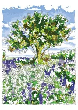 An orange tree with flower garden Stock Illustration