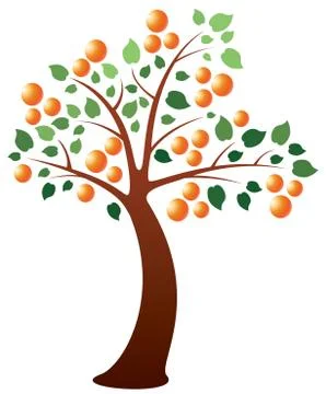 Orange tree Stock Illustration