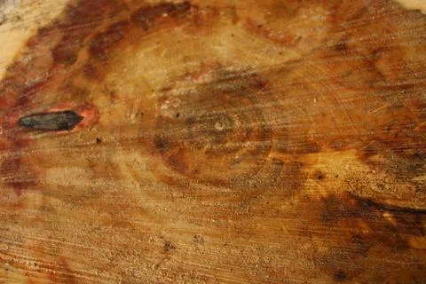 Orange Tree Ring Foto stock