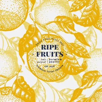 Orange tree seamless pattern. Hand drawn vector fruit illustration. Engraved  Stock Illustration
