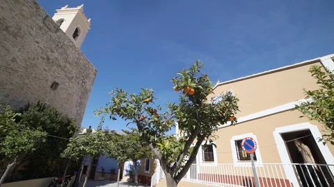 Orange tree spain Stock Footage 89693291