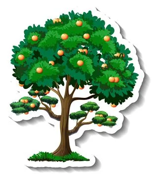 Orange tree sticker on white background Stock Illustration