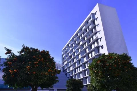Orange trees between regular buildings of residential buildings and ginnasium Stock Photos