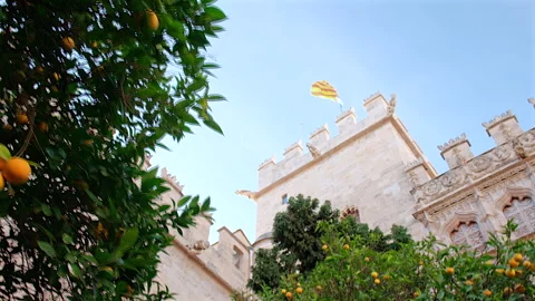 Orange trees view of La Lonja The Silk Exchange facade, Valencia, Spain Stock-Footage 297279642