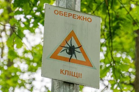 Orange triangular warning sign with beewasp illustration in a park or fores.. Stock Photos