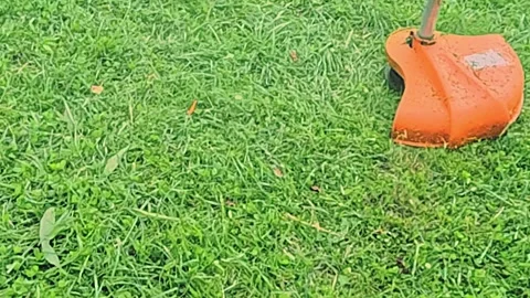 Orange trimmer head rotating on grass during garden work Stock Footage 317358157
