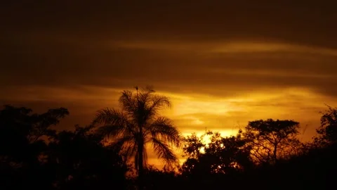 Orange tropical sunset Stock Footage 154917616