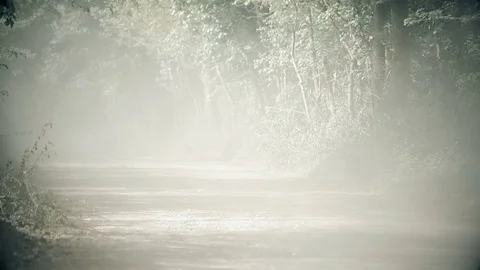 Orange Truck Stirring Up Dust on Country Road Stock Footage