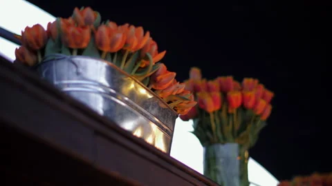 Orange Tulips as Decoration Stock Footage 219175790