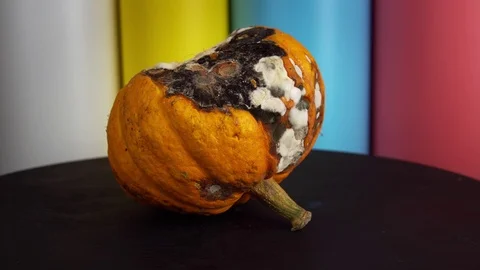 Orange ugly pumpkin rotates on a multi-colored background. Stock Footage 125630966
