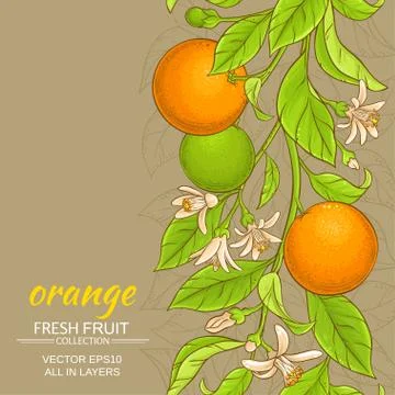 Orange vector background Stock Illustration