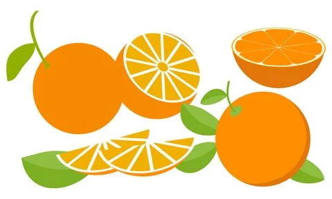 Orange  Vector Design And Illustration Bundle. Stock Illustration