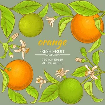 Orange vector frame Stock Illustration