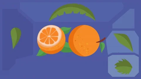 Orange  - Vector Graphics - Food Animation - leaves 02 Video stock 61293612