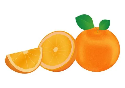 A  Orange Vector Stock Illustration