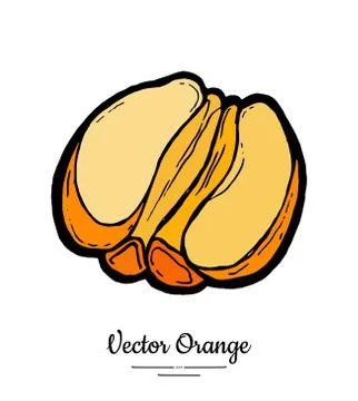 Orange vector isolated. Half cut peeled orange, mandarin tangerine. Fruit han Stock Illustration