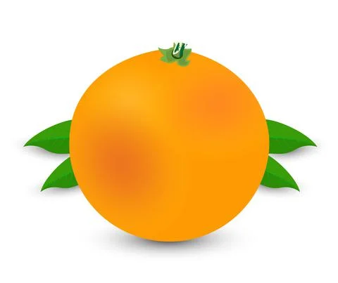 Orange vector with leaves isolated on white background. Vector fruit design. Stock Illustration