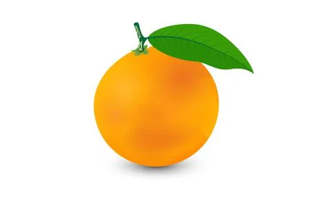 Orange vector with leaves isolated on white background. Vector fruit design. Stock Illustration