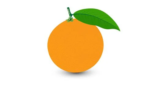 Orange vector with leaves isolated on white background. Vector fruit design. Stock Illustration