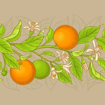 Orange vector pattern Stock Illustration