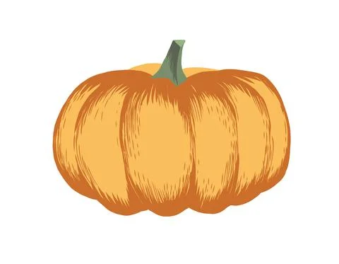 Orange Vector Pumpkin Stock Illustration